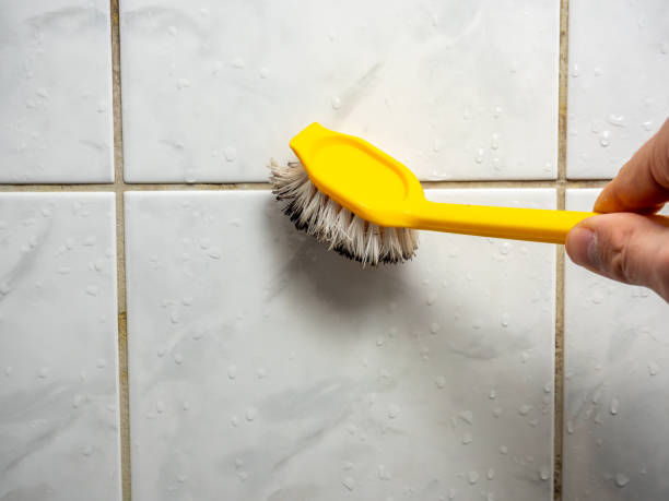 Best Office Mold Removal Services  in Hugo, OK