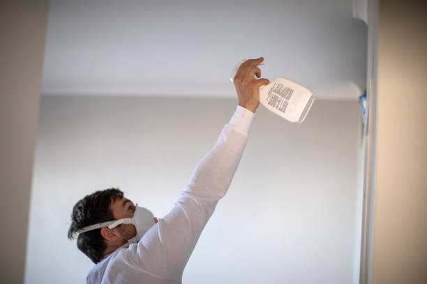Best Mold Removal Company Near Me  in Hugo, OK