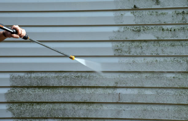 Best Fast Mold Removal  in Hugo, OK