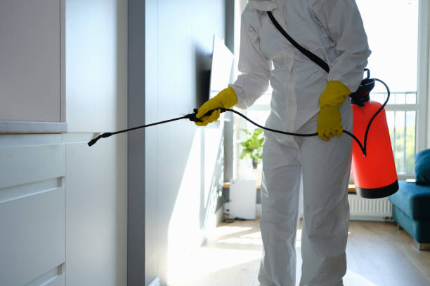 Best Mold Testing  in Hugo, OK